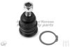 TOYOT 4331035071 Ball Joint